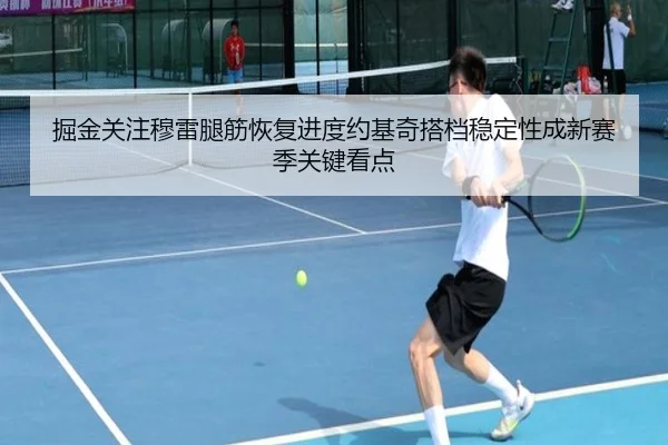 掘金关注穆雷腿筋恢复进度约基奇搭档稳定性成新赛季关键看点